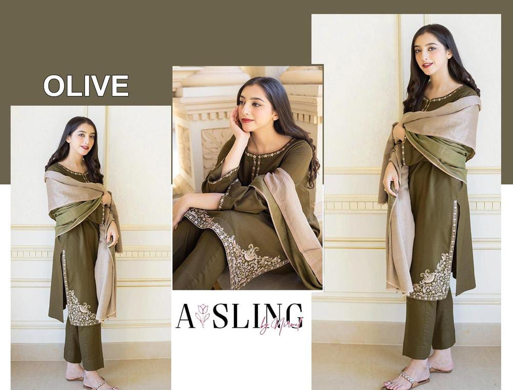 AYSLIN Luxury Embroidered Dhanak 3PC Suit – Heavy Neck, Daman & Sleeves with Pashmina Wool Shawl